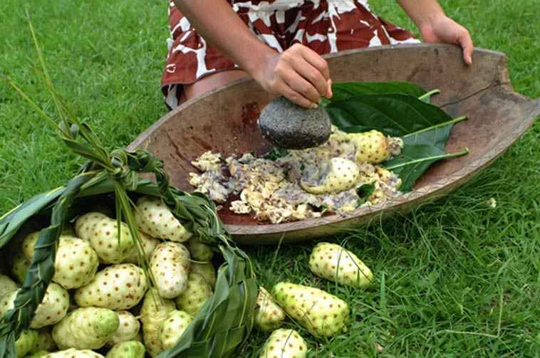 Φρούτα Νόνι My Image