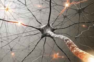 Image Title My Image