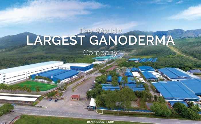 Η εταιρία DXN Pharmaceutical My Image