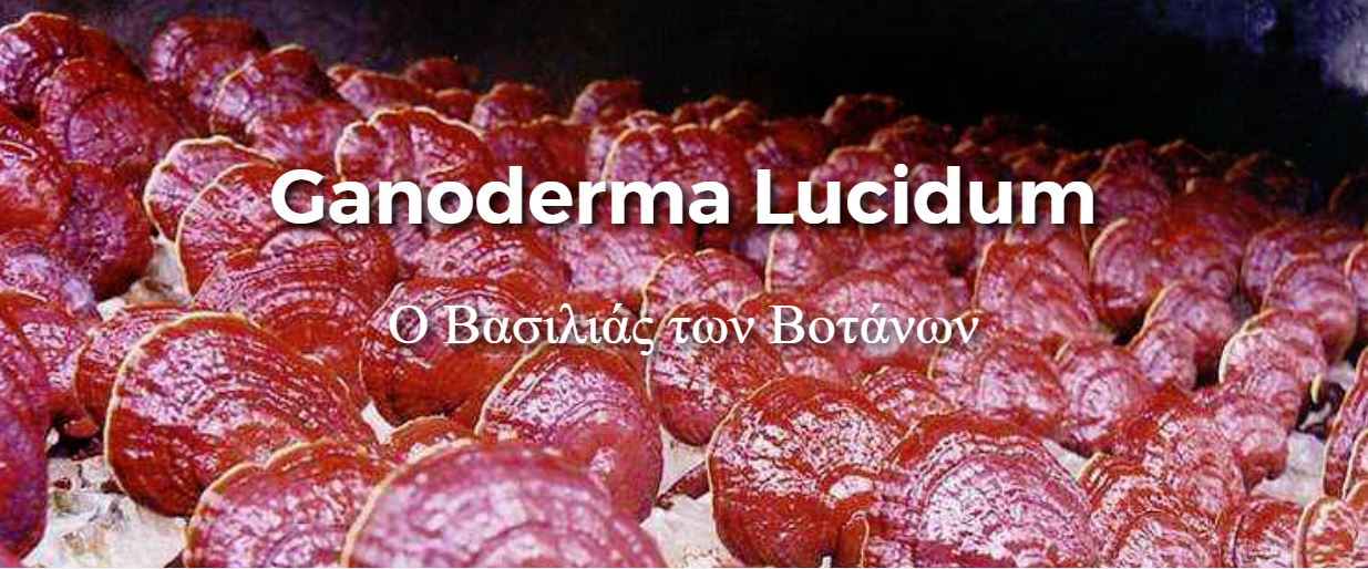 Image Title My Image