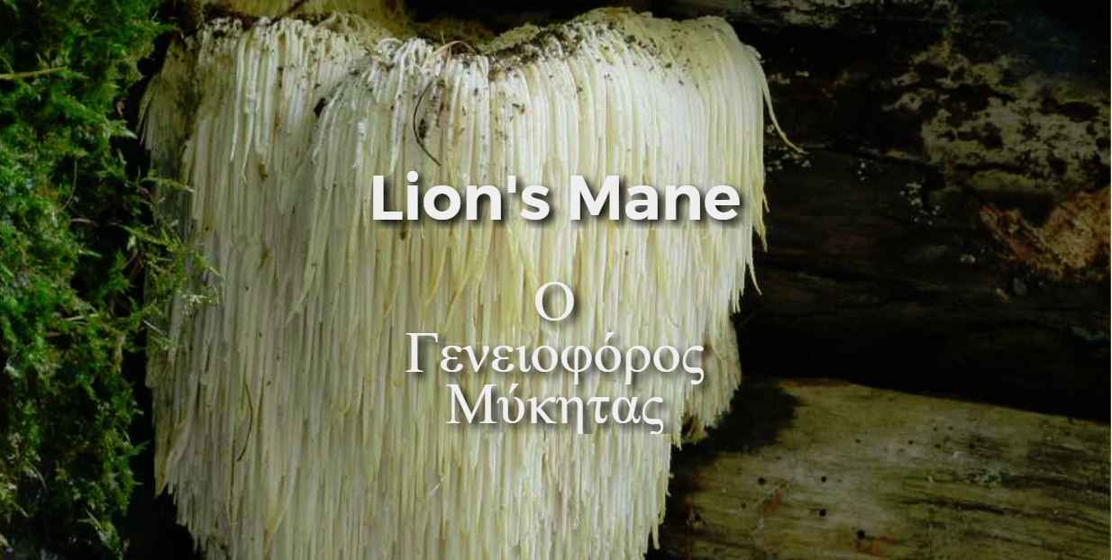 Image Title My Image